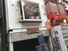 SAKURA CAFE