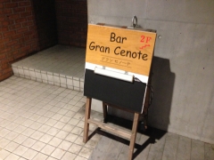 Gran Cenote：外観